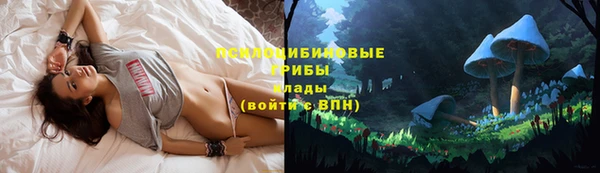 a pvp Алексеевка