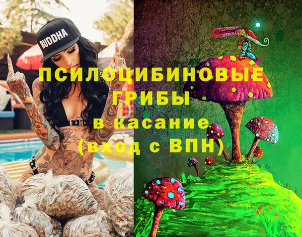 a pvp Алексеевка
